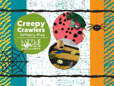 Kidcreate Studio - Woodbury. Creepy Crawlers Sensory Play (12 months-6 Years)